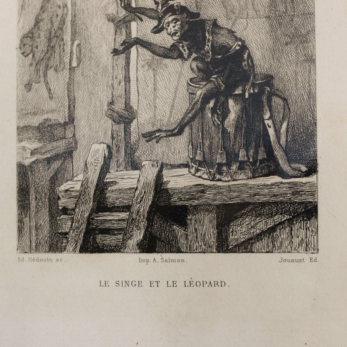 Gravure antique | Le Singe Et Le Léopard