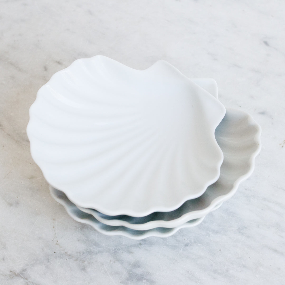 Coquille en porcelaine