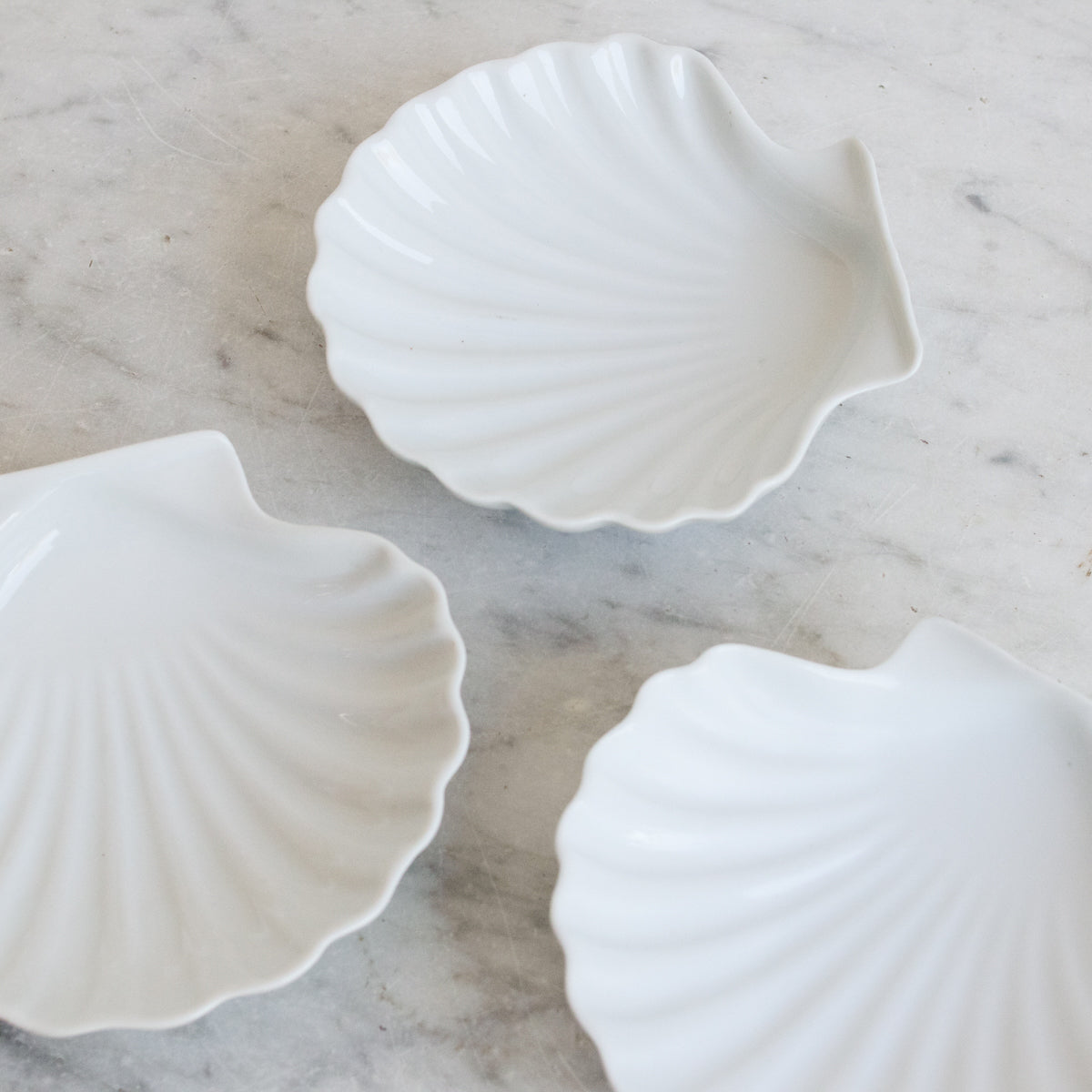 Coquille en porcelaine