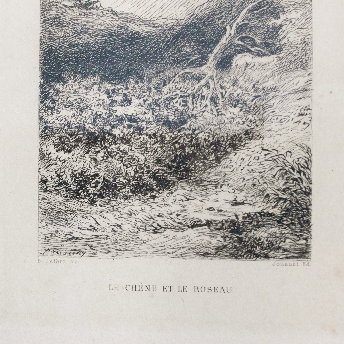 Gravure antique | Le Chêne Et Le Roseau