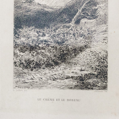 Gravure antique | Le Chêne Et Le Roseau