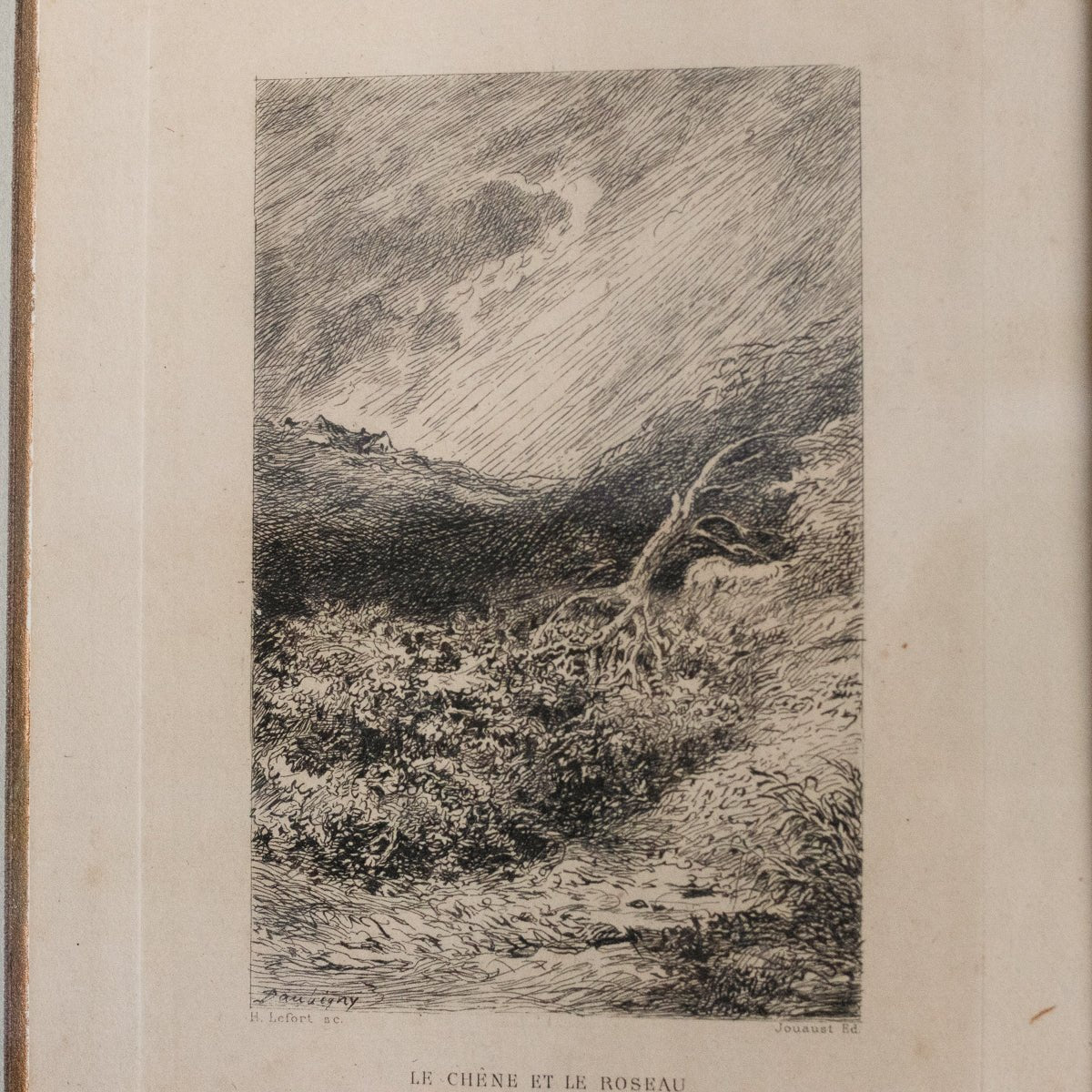 Gravure antique | Le Chêne Et Le Roseau