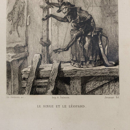 Gravure antique | Le Singe Et Le Léopard