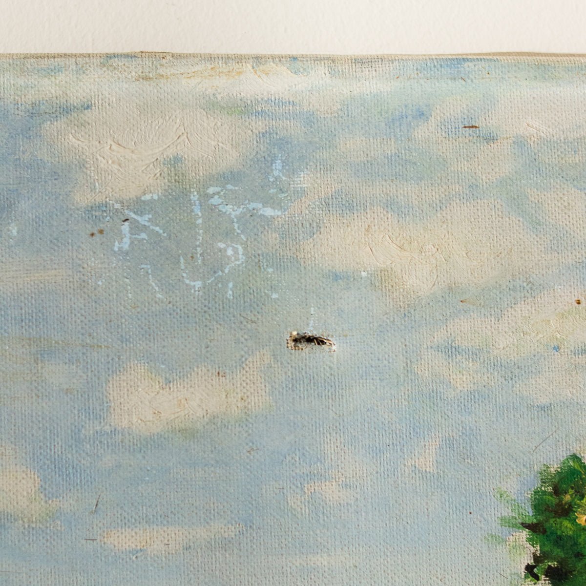 Paysage marin avec des arbres feuillus, peinture à l'huile
