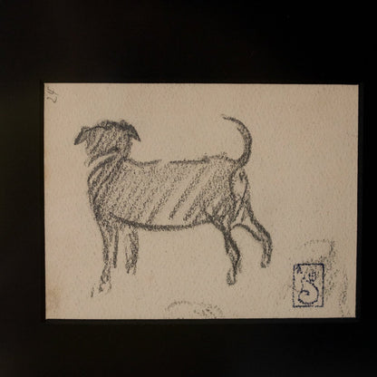 Croquis n° 9 : Portrait d'un petit chien | Théophile Steinlen